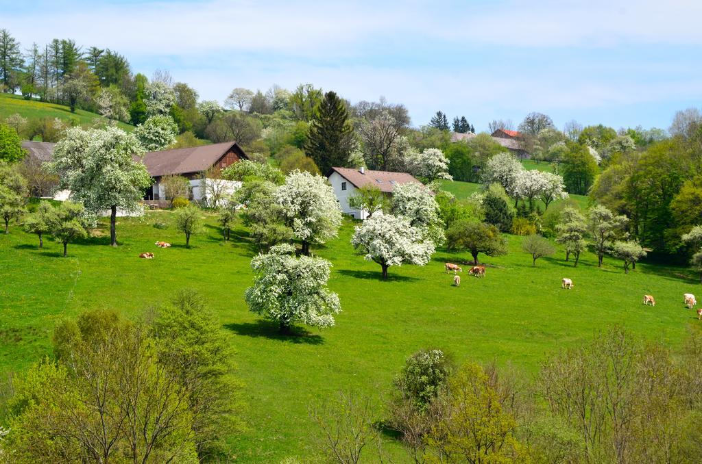 Ferienwohnung Vonwald Michelbach Экстерьер фото