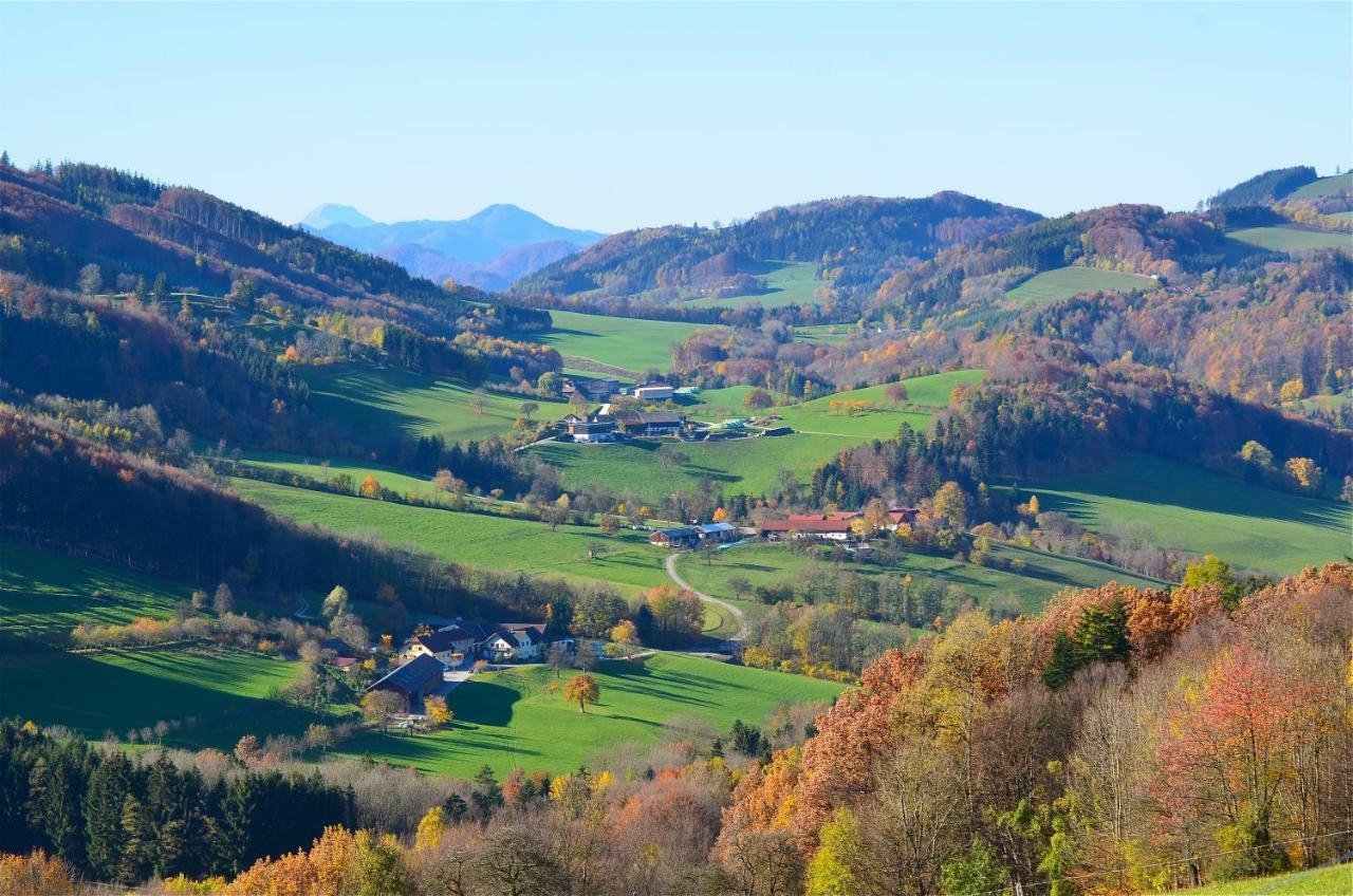 Ferienwohnung Vonwald Michelbach Экстерьер фото